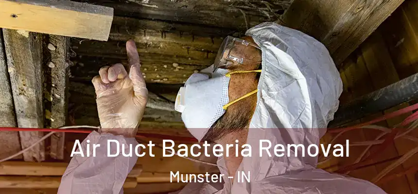  Air Duct Bacteria Removal Munster - IN