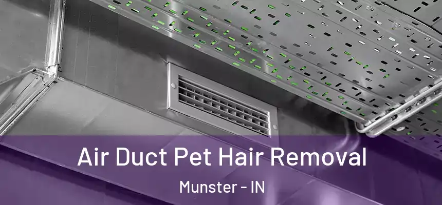  Air Duct Pet Hair Removal Munster - IN