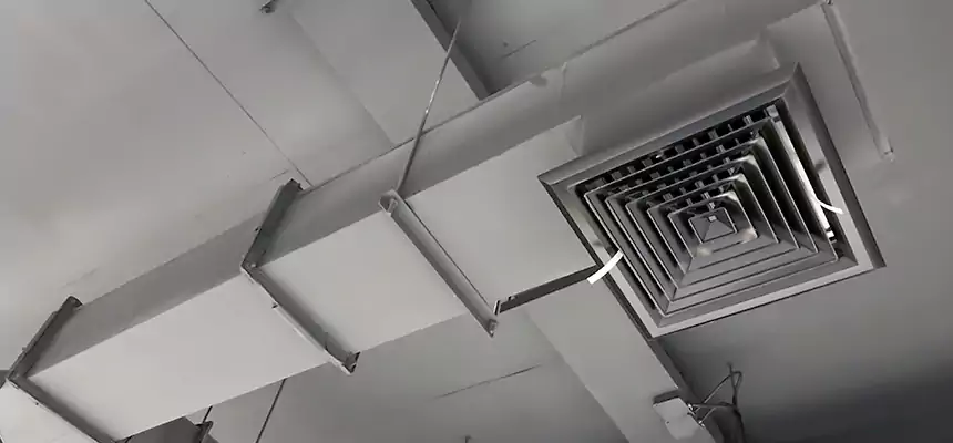 Our Rodent Droppings In Vents Services in Munster, IN