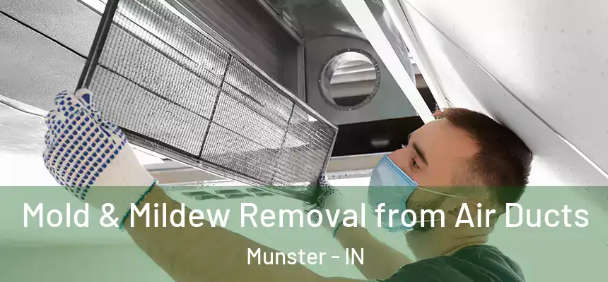  Mold & Mildew Removal from Air Ducts Munster - IN