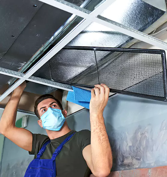 Professional Air Duct Pollen Cleaning in Munster, IN