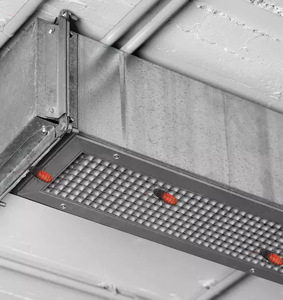 Affordable Insect Removal from Air Ducts in Munster, IN