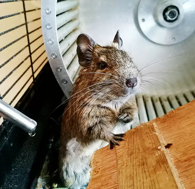 Why Homeowners & Businesses Trust Us Munster, IN